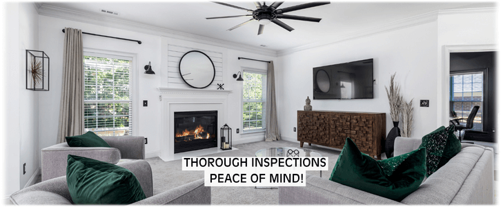 Chimney and Fireplace Inspection Detroit